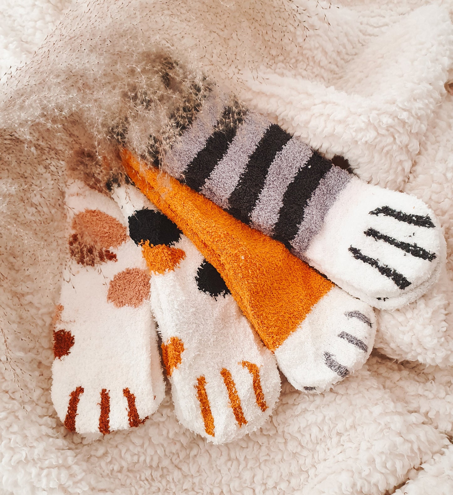 'Paws & Pages' Letterbox Gift